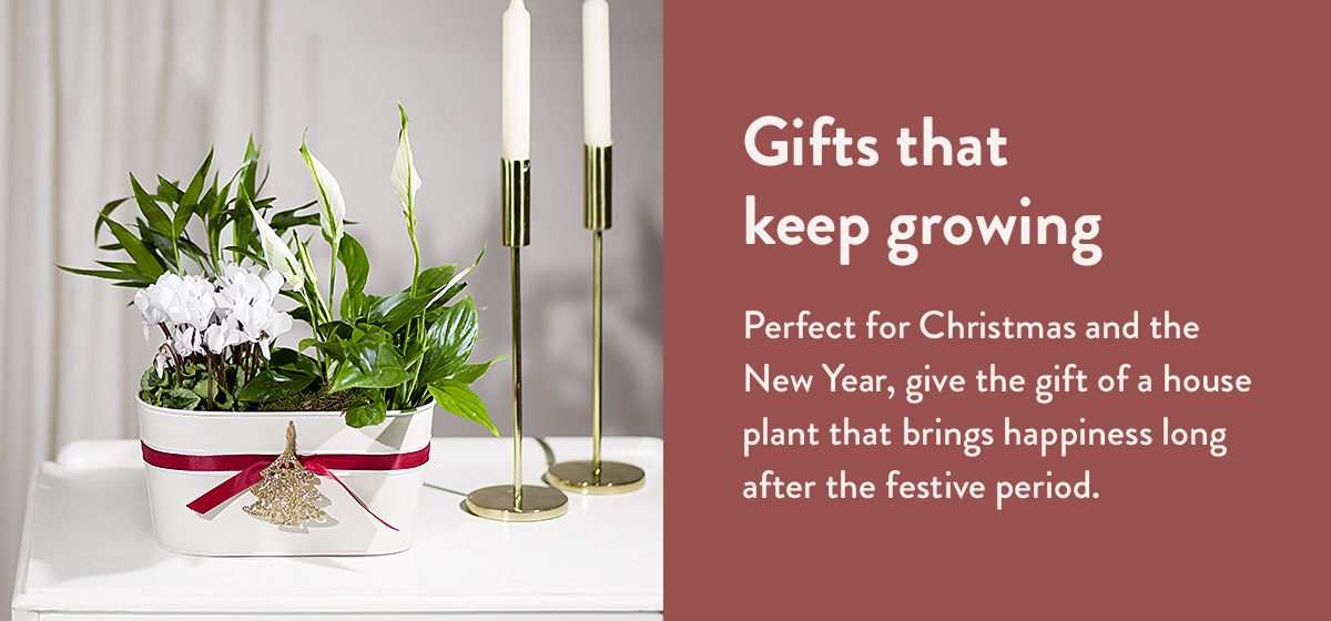 Gifts that keep growing