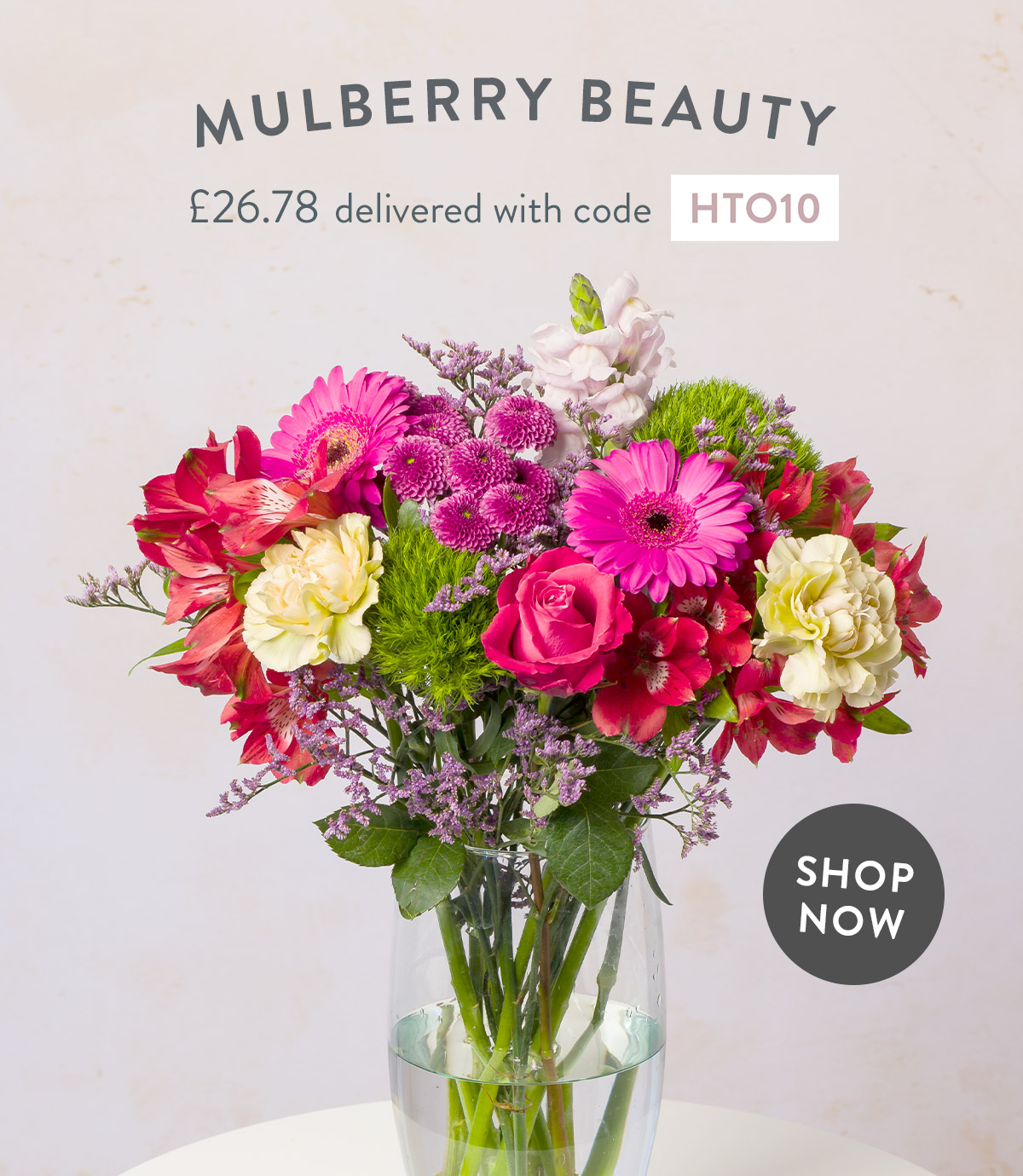Mulberry Beauty - only &pound;26.78 delivered