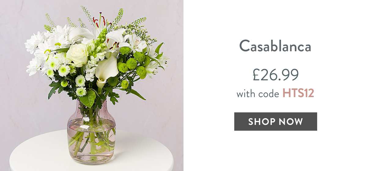 Casablanca - only &pound;26.99