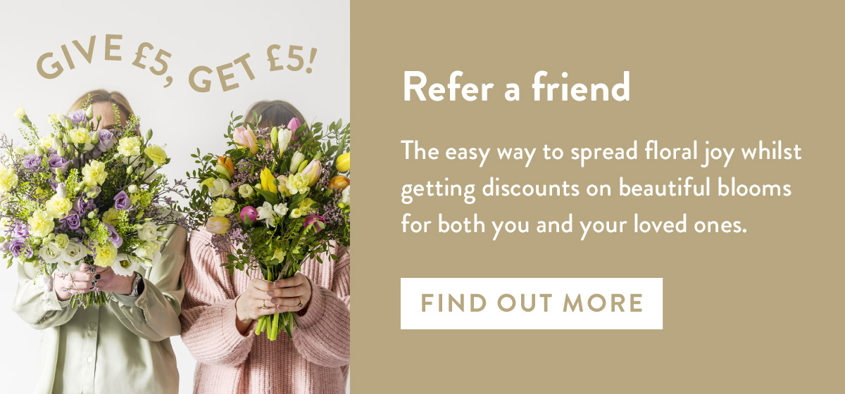 Refer a friend