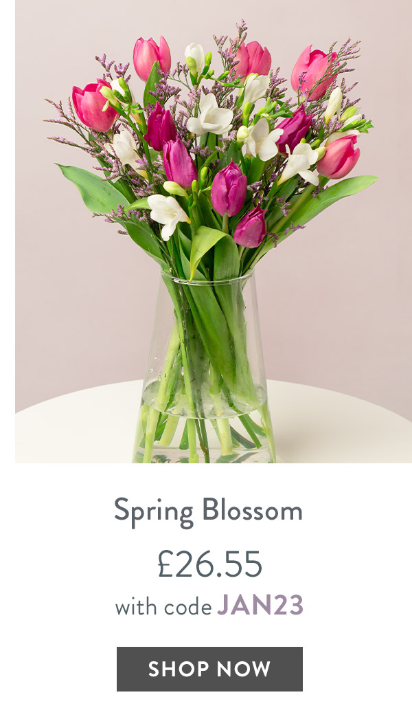 Spring Blossom - only &pound;26.55 with code