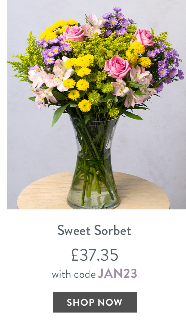 Sweet Sorbet - only &pound;37.35 with code