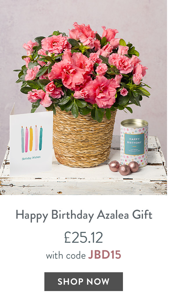 Happy Birthday Azalea Gift - only &pound;25.12 with code