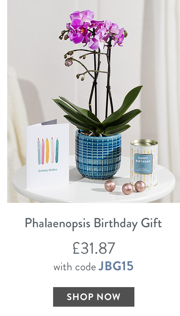 Phalaenopsis Birthday Gift - only &pound;31.87 with code
