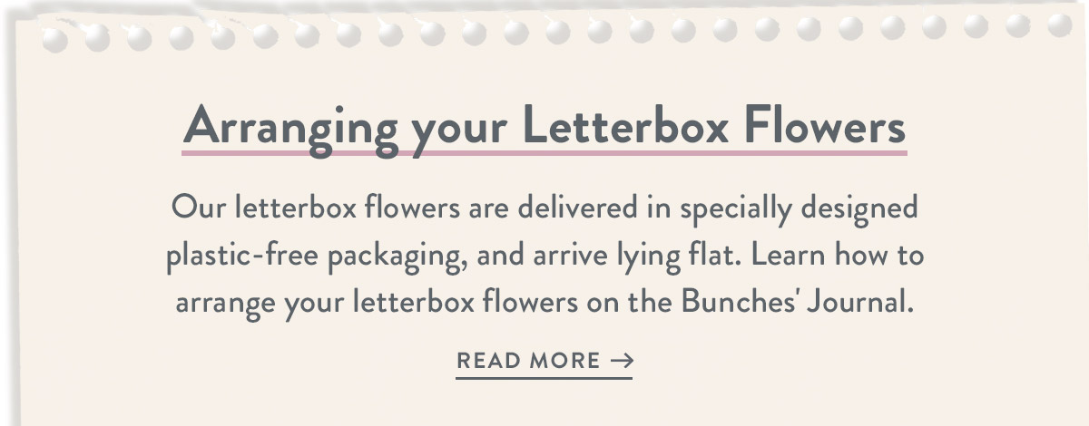 Arranging your Letterbox Flowers