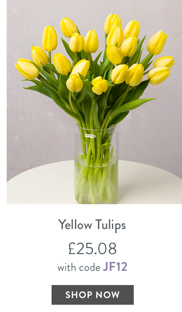 Yellow Tulips - only &pound;23.75 with code
