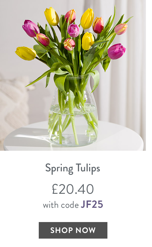 Spring Tulips - only &pound;20.40 with code