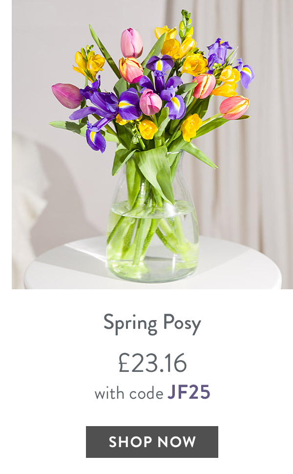 Spring Posy - only &pound;23.16 with code
