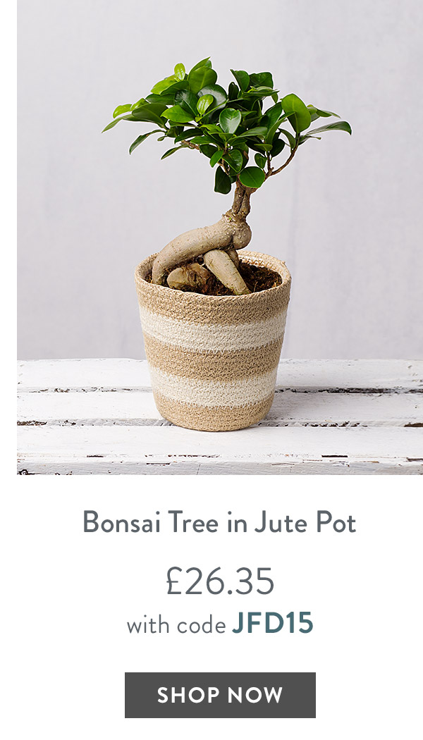 Bonsai Tree in Jute Pot - only &pound;26.35 with code