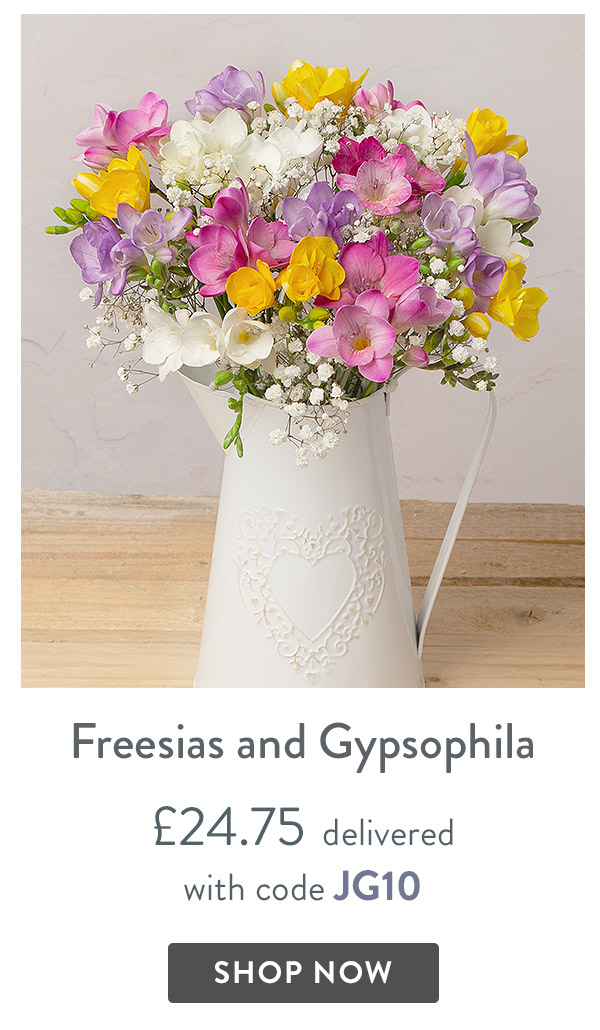 Freesias and Gypsophila - only &pound;24.75 delivered