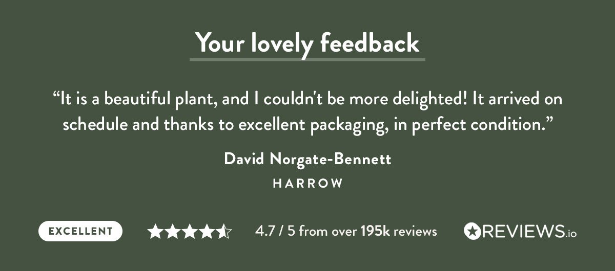 4.7 out of 5 from over 195k reviews