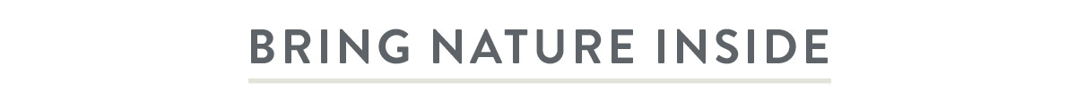Bring Nature Inside