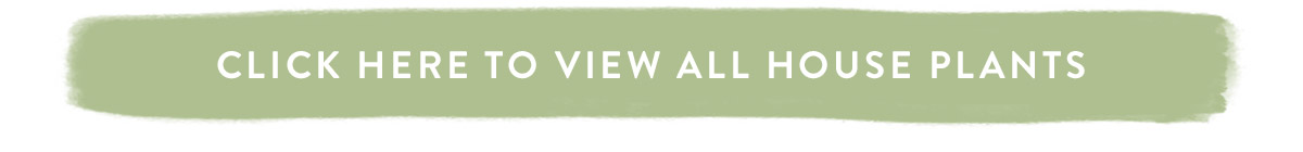 Click here to view all house plants