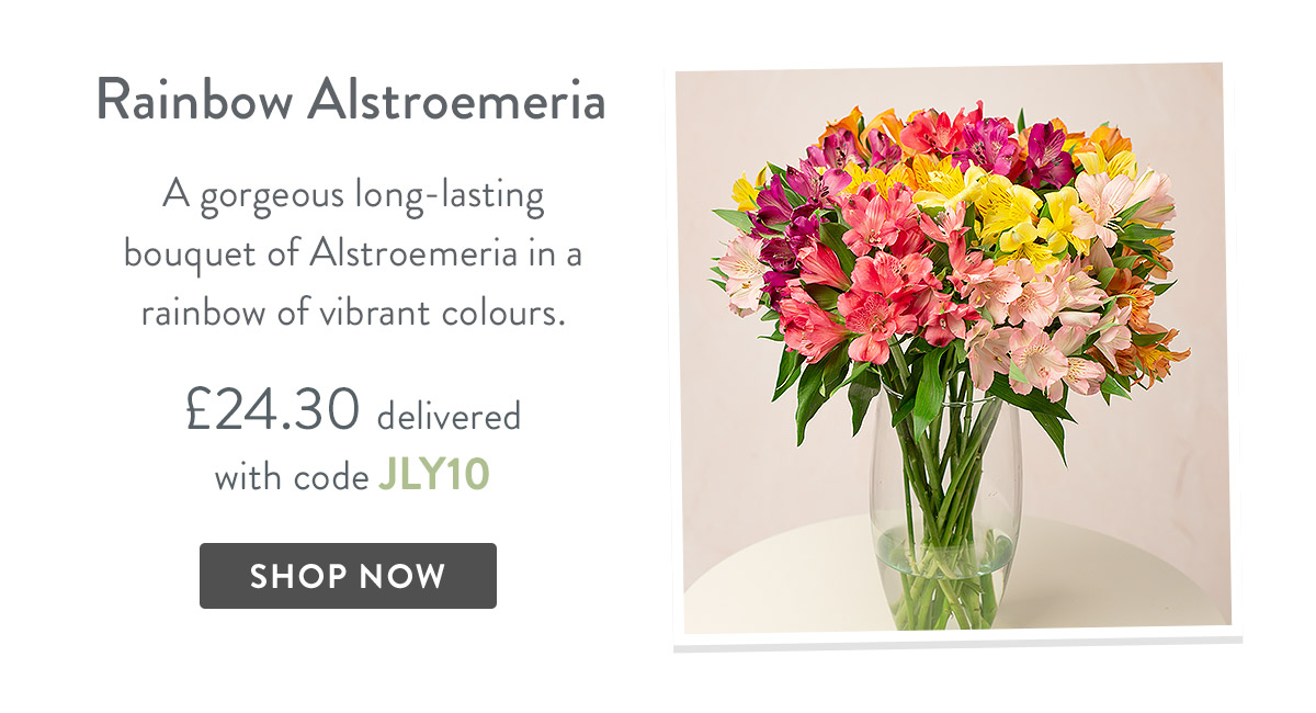 Rainbow Alstroemeria - only &pound;24.30 delivered