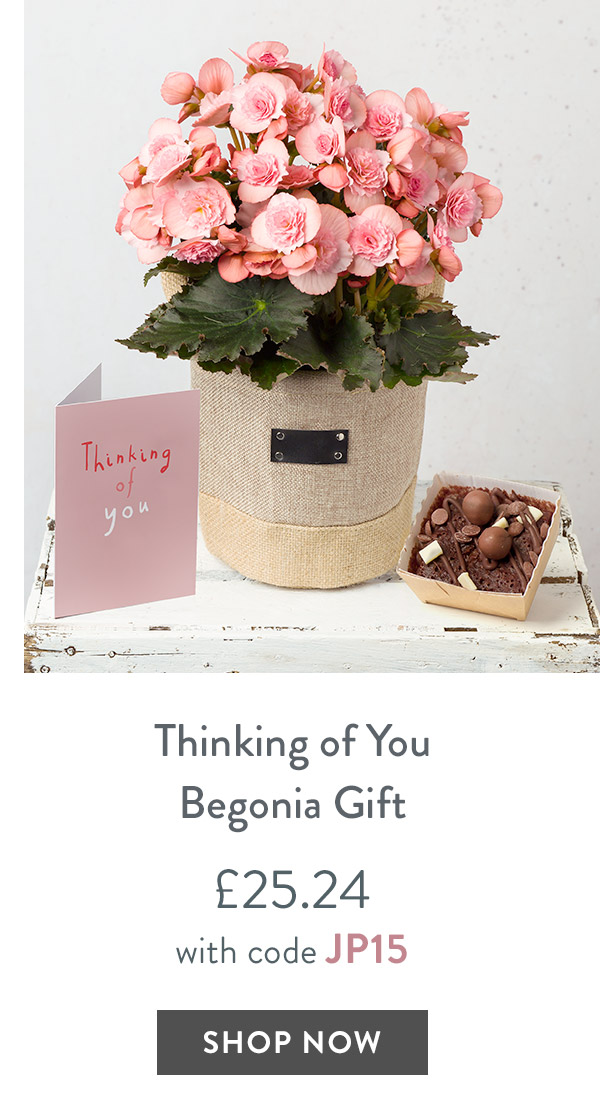 Thinking of You Begonia Gift - only &pound;25.24 with code