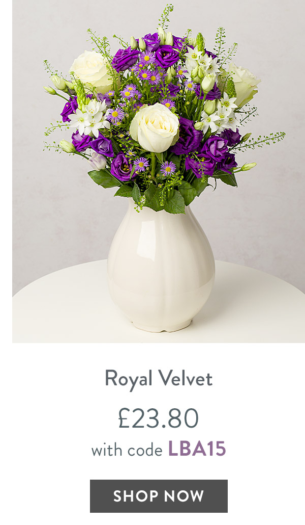 Royal Velvet - only &pound;23.80 with code