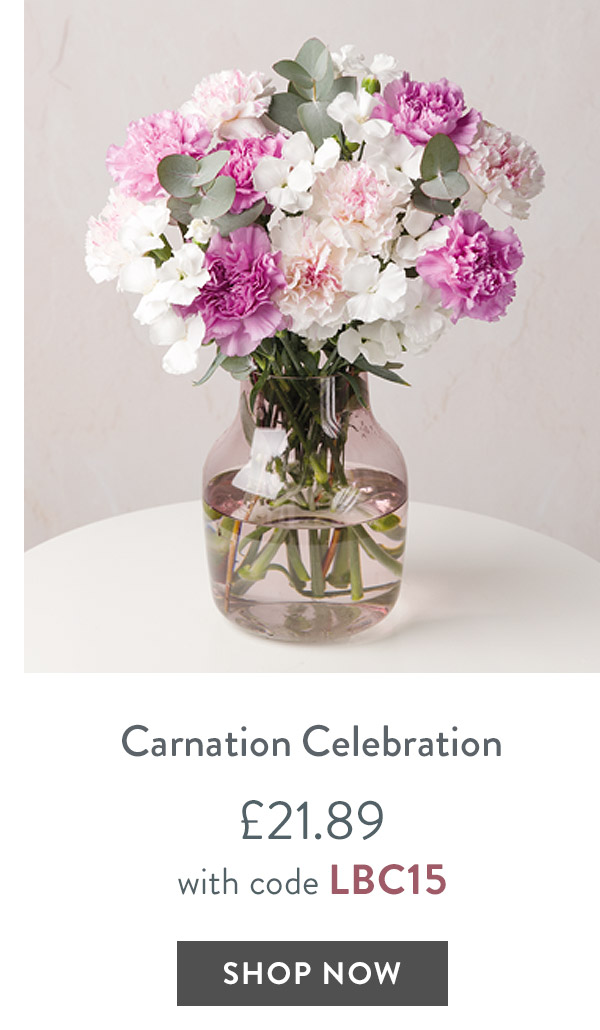 Carnation Celebration - only &pound;21.89 with code
