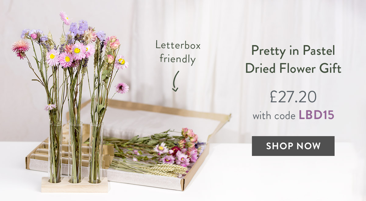 Pretty in Pastel Dried Flower Gift