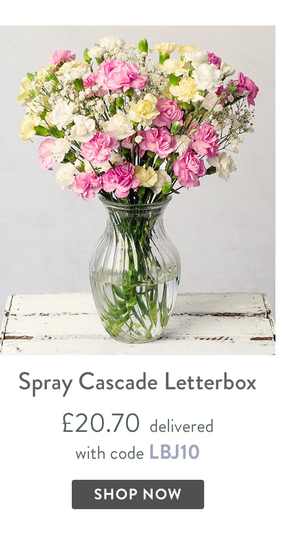 Spray Cascade Letterbox - only &pound;20.70 delivered