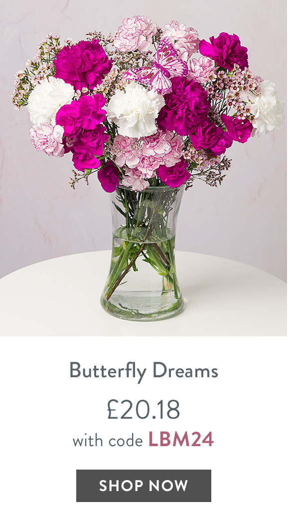 Butterfly Dreams - only &pound;20.18 with code