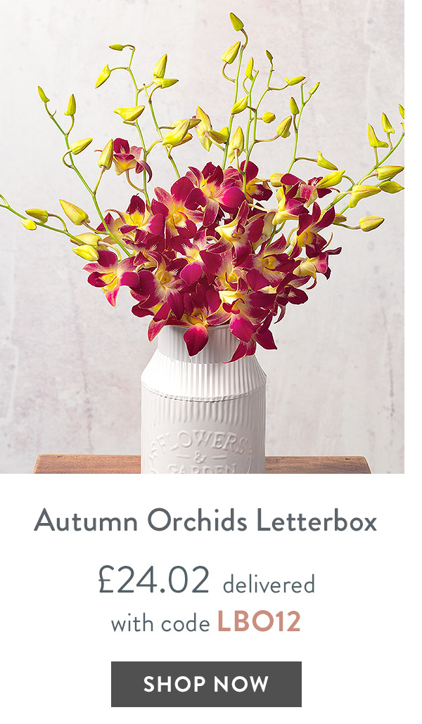 Autumn Orchids Letterbox- only &pound;24.02 delivered
