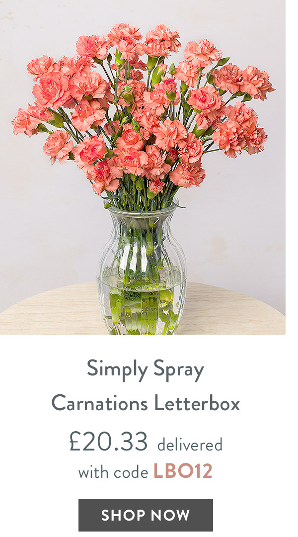 Simply Spray Carnations Letterbox - only &pound;20.33 delivered