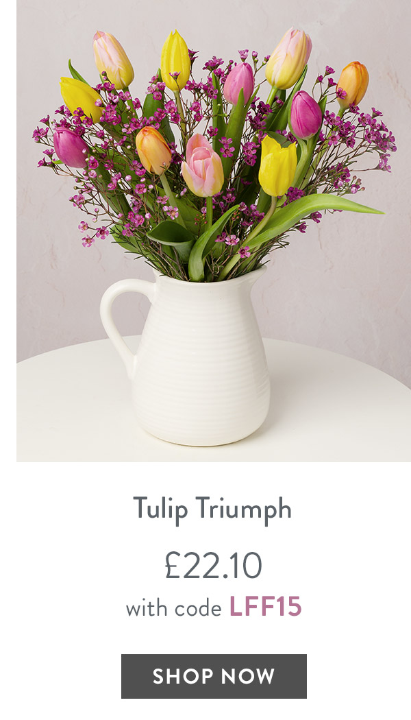 Tulip Triumph - only &pound;22.10 with code