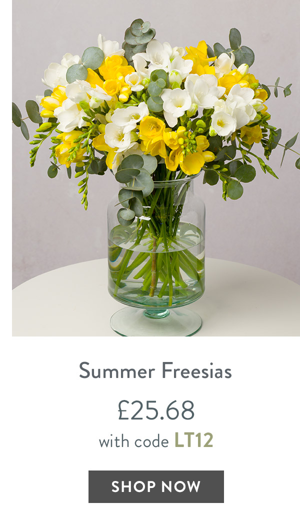 Letterbox Summer Freesias - only &pound;25.68 with code
