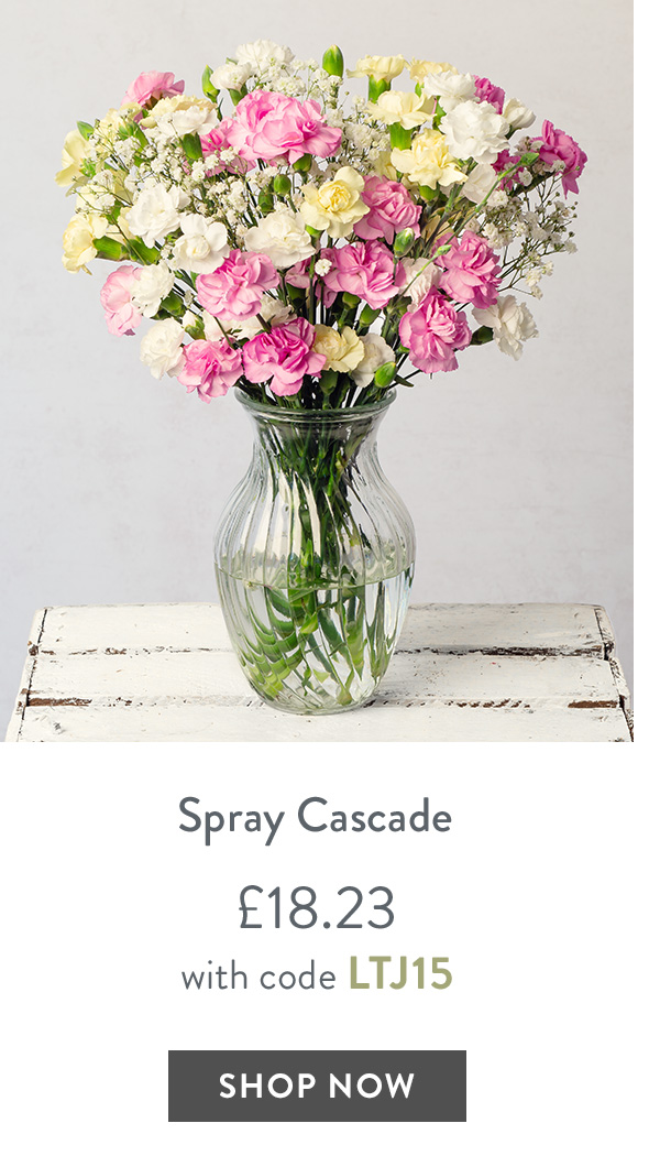 Spray Cascade Letterbox - only &pound;18.23 with code