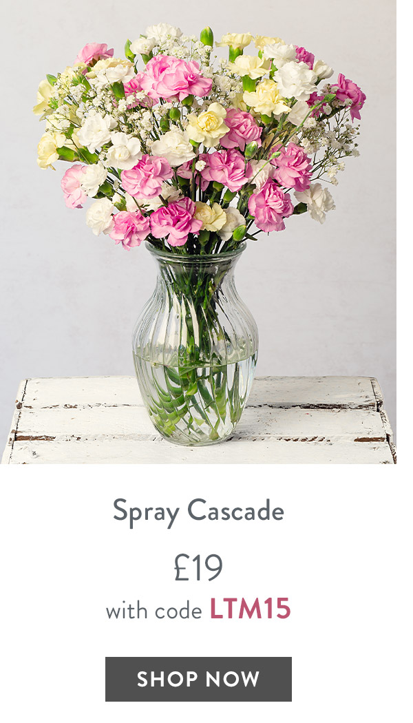 Spray Cascade Letterbox - only &pound;19 with code