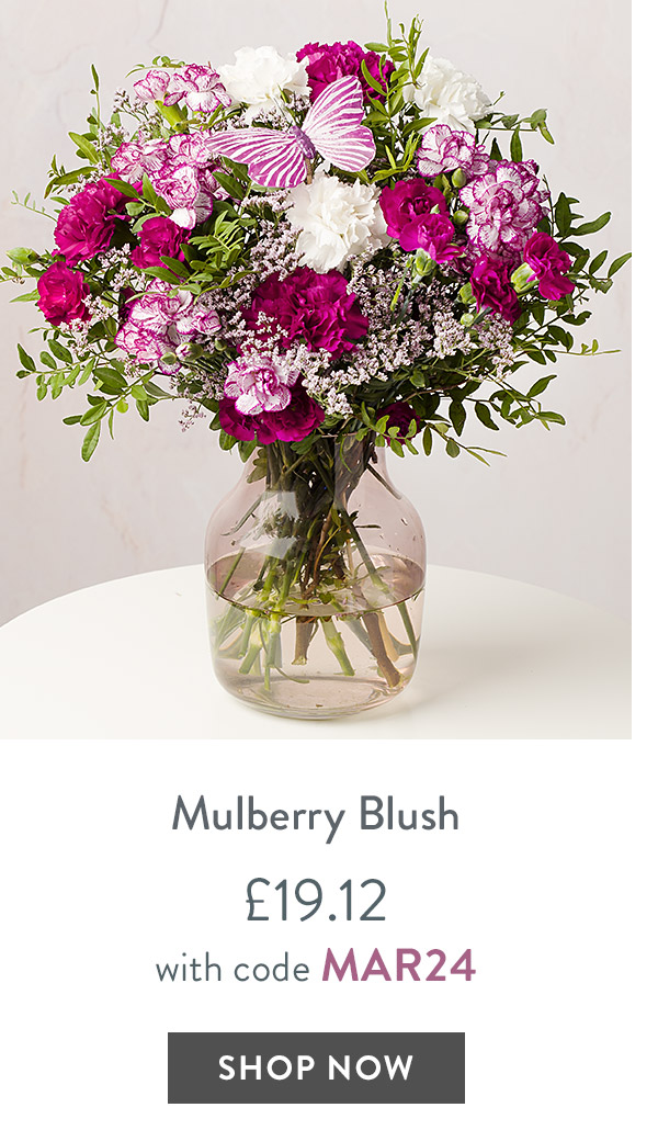Mulberry Blush - only &pound;19.12 with code
