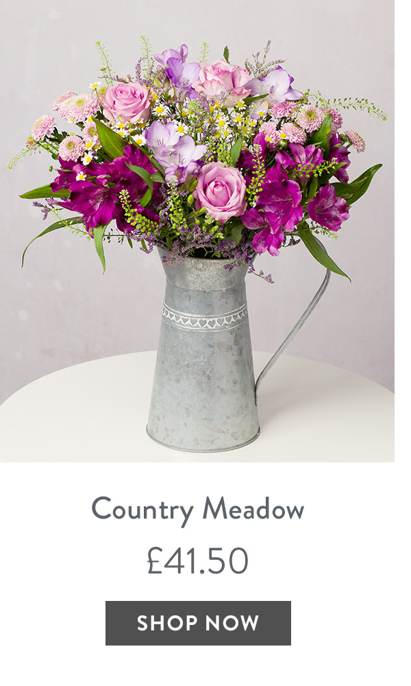 Country Meadow - only &pound;41.50