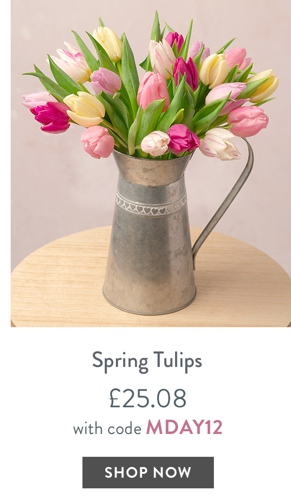 Spring Tulips - only &pound;25.08 with code