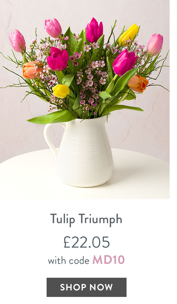 Tulip Triumph - only &pound;22.05 with code