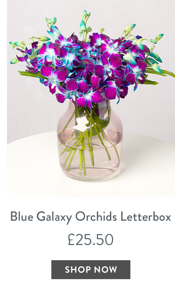 Blue Galaxy Orchids Letterbox - only &pound;25.50