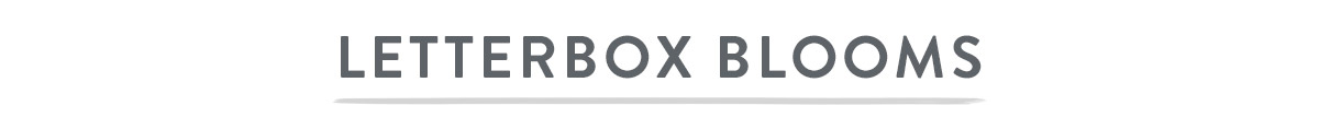 Letterbox Blooms