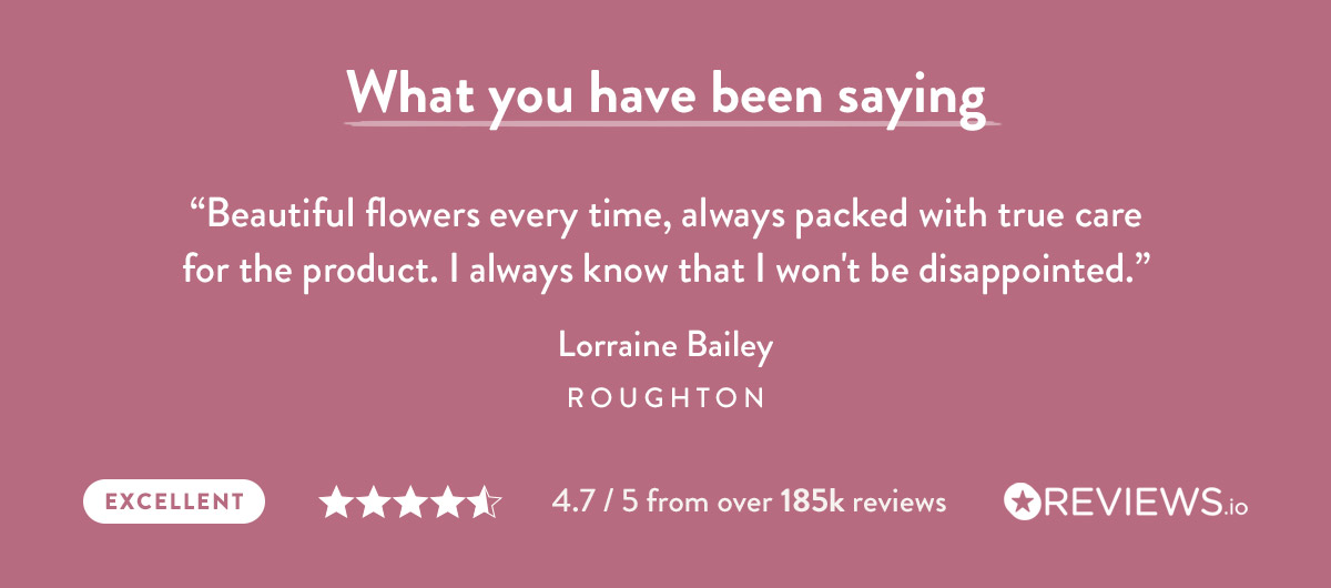What you have been saying
