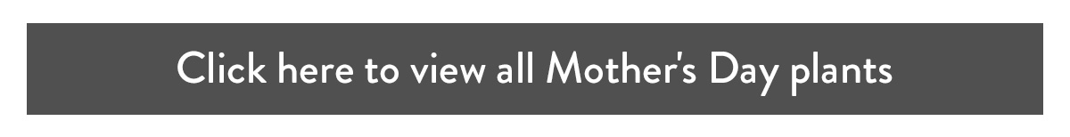 Click here to view all Mother's Day plants