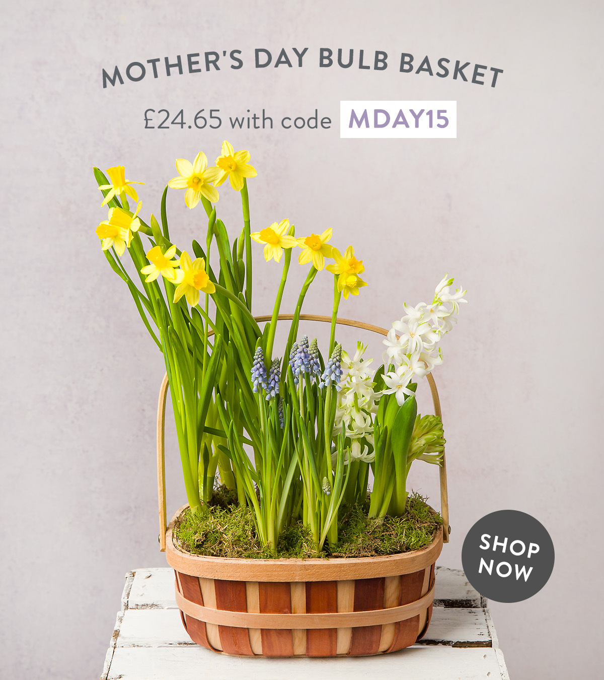 Mother's Day Bulb Basket - only &pound;24.65