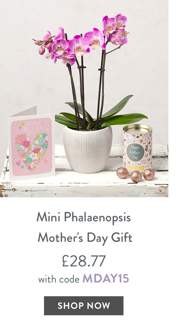 Mini Phalaenopsis Mother's Day Gift - only &pound;28.77