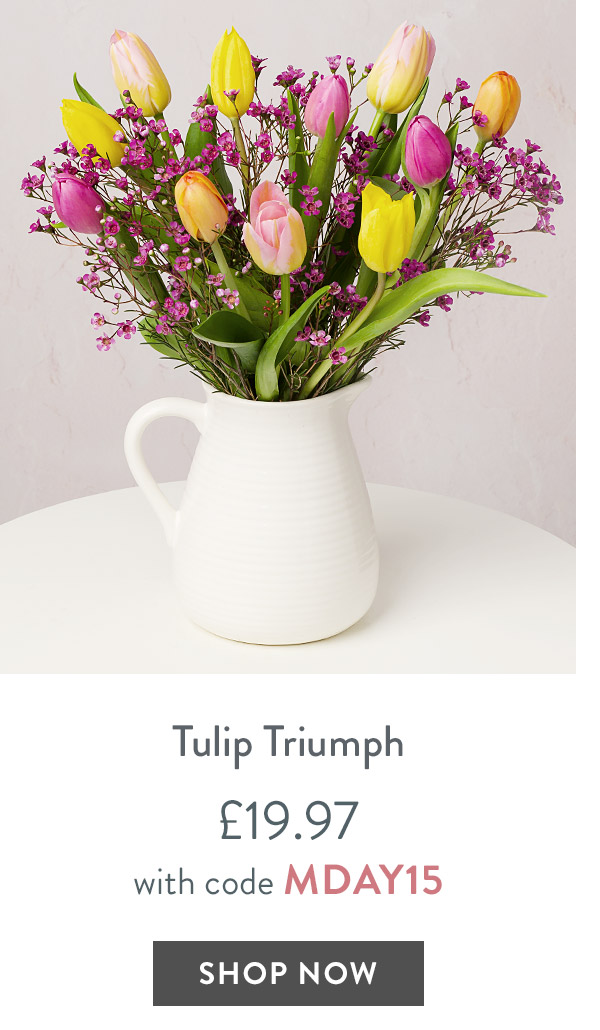 Tulip Triumph - only &pound;19.97 with code