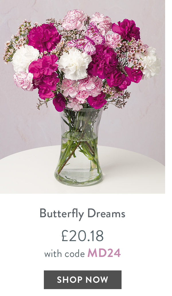 Butterfly Dreams - only &pound;20.18 with code