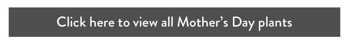 Click here to view all Mother's Day Plants