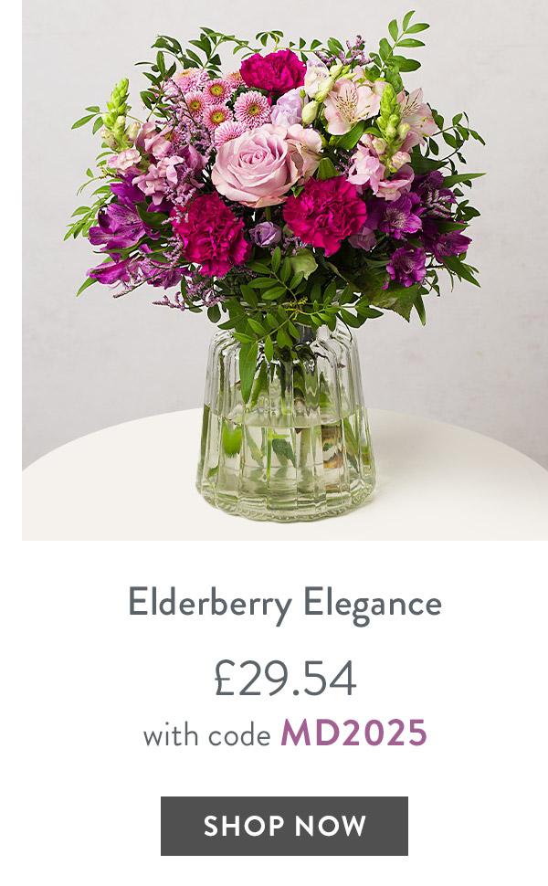 Elderberry Elegance - only &pound;29.54 with code