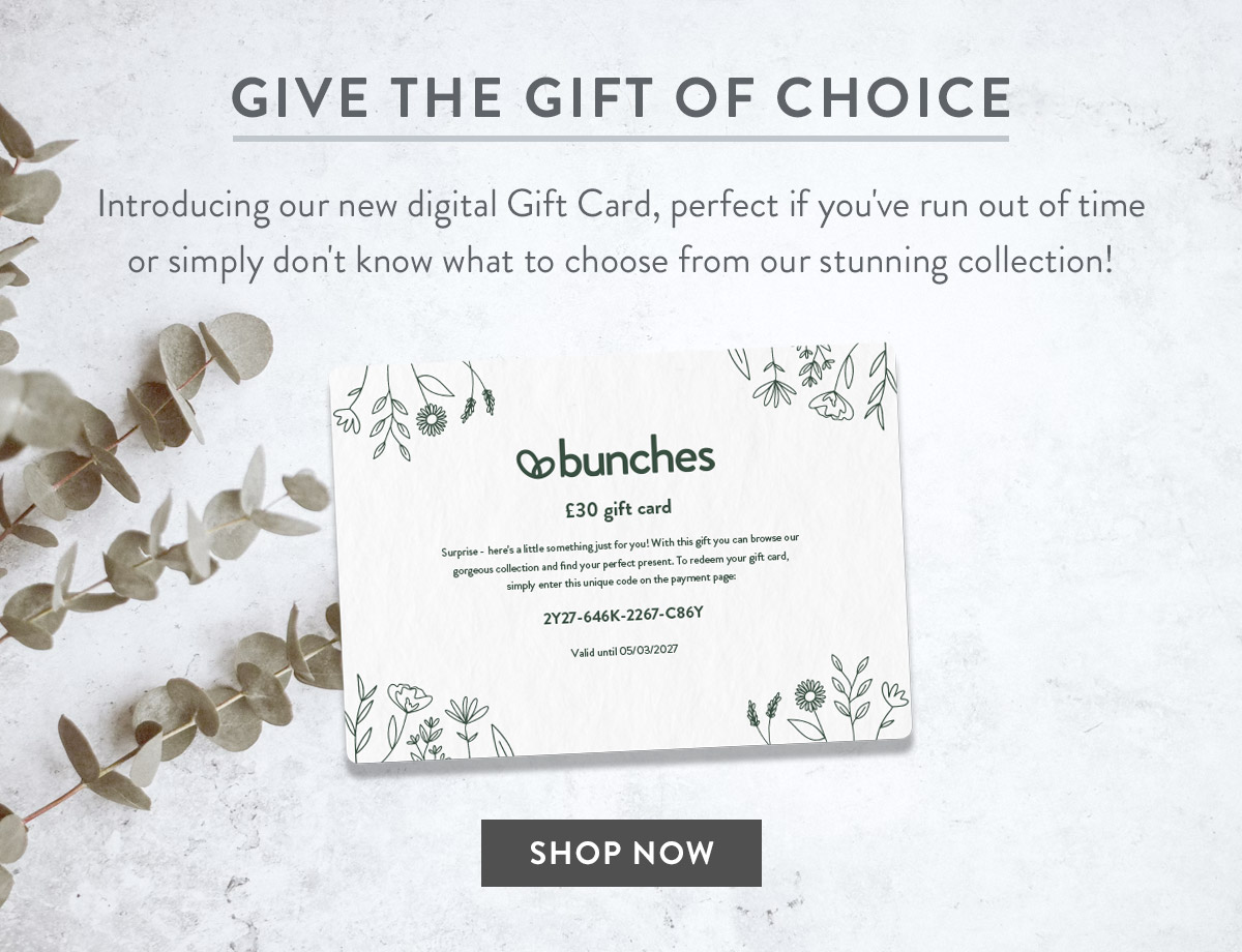 Give the gift of choice