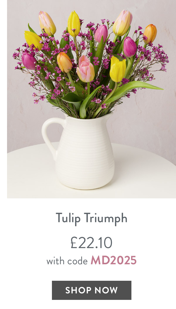 Tulip Triumph - only &pound;22.10 with code