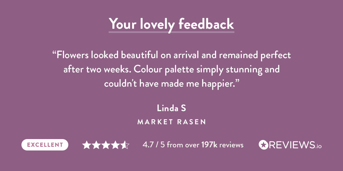 4.7 out of 5 stars