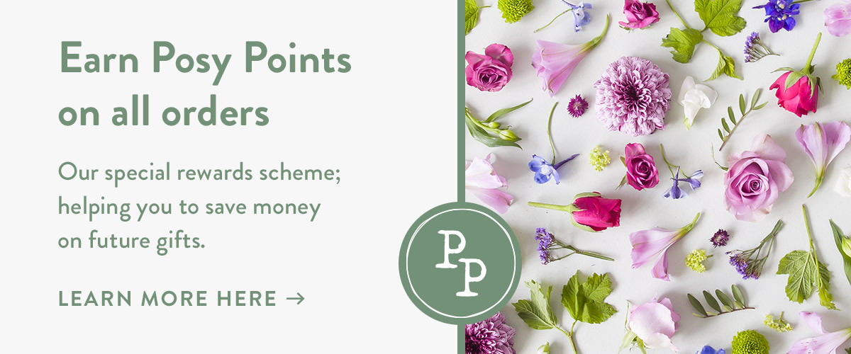Earn Posy points on all orders