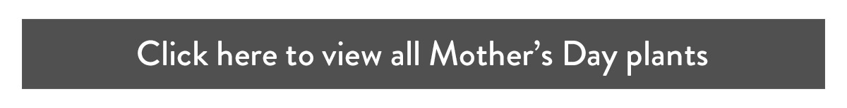 Click here to view all Mother's Day plants