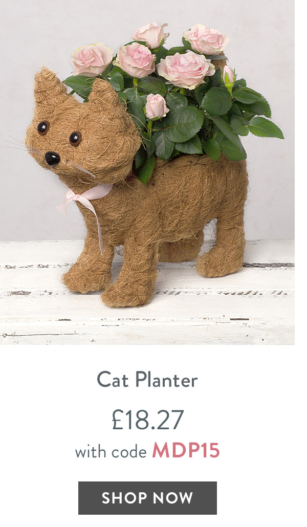 Cat Planter - only &pound;18.27 with code